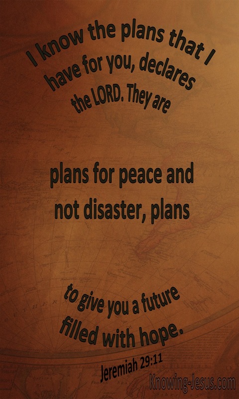 Jeremiah 29:11 The Plans I Have For You (brown)